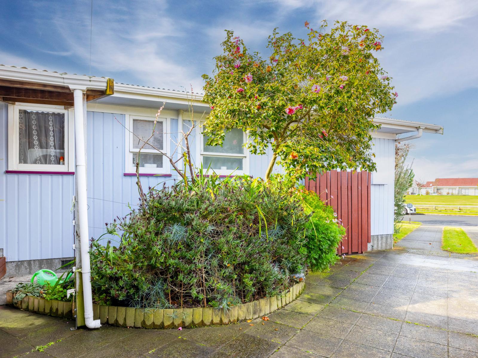 24 Essex Street, Tamatea