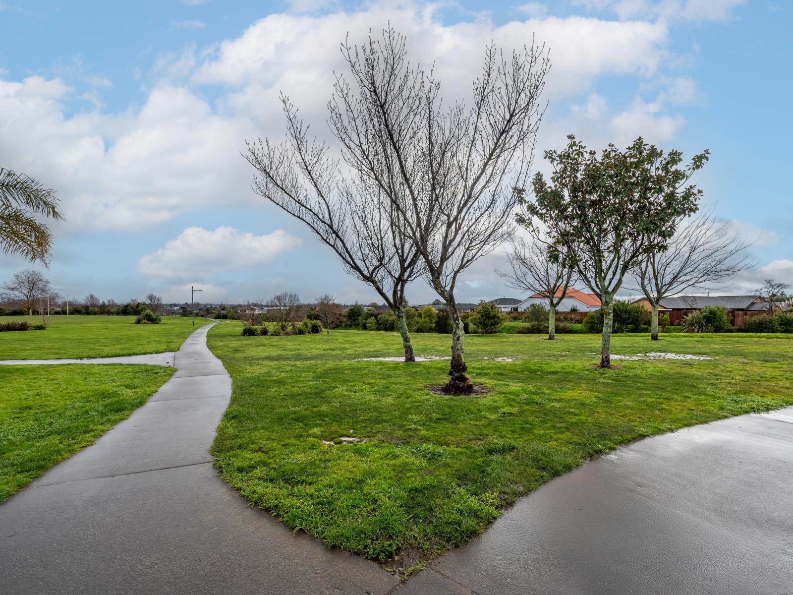 55 Palmbrook Avenue, Havelock North