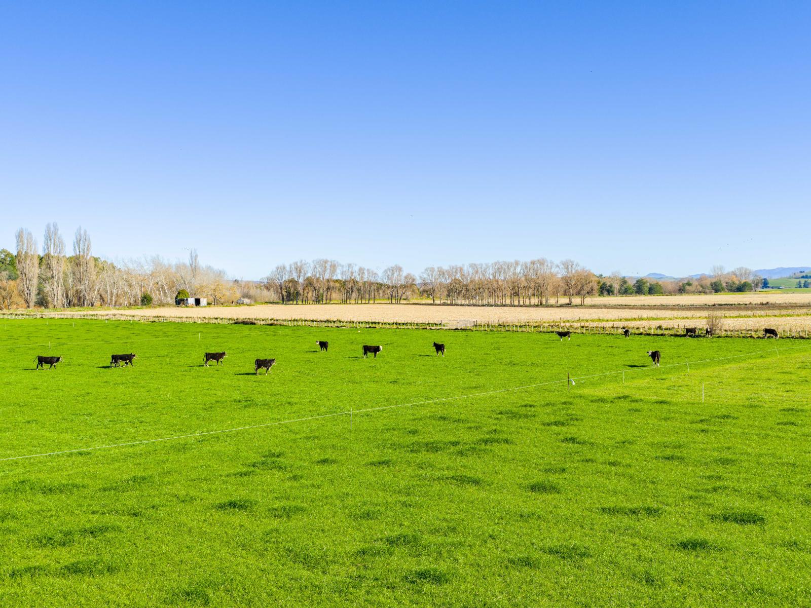 295 Tapairu Road, Waipawa
