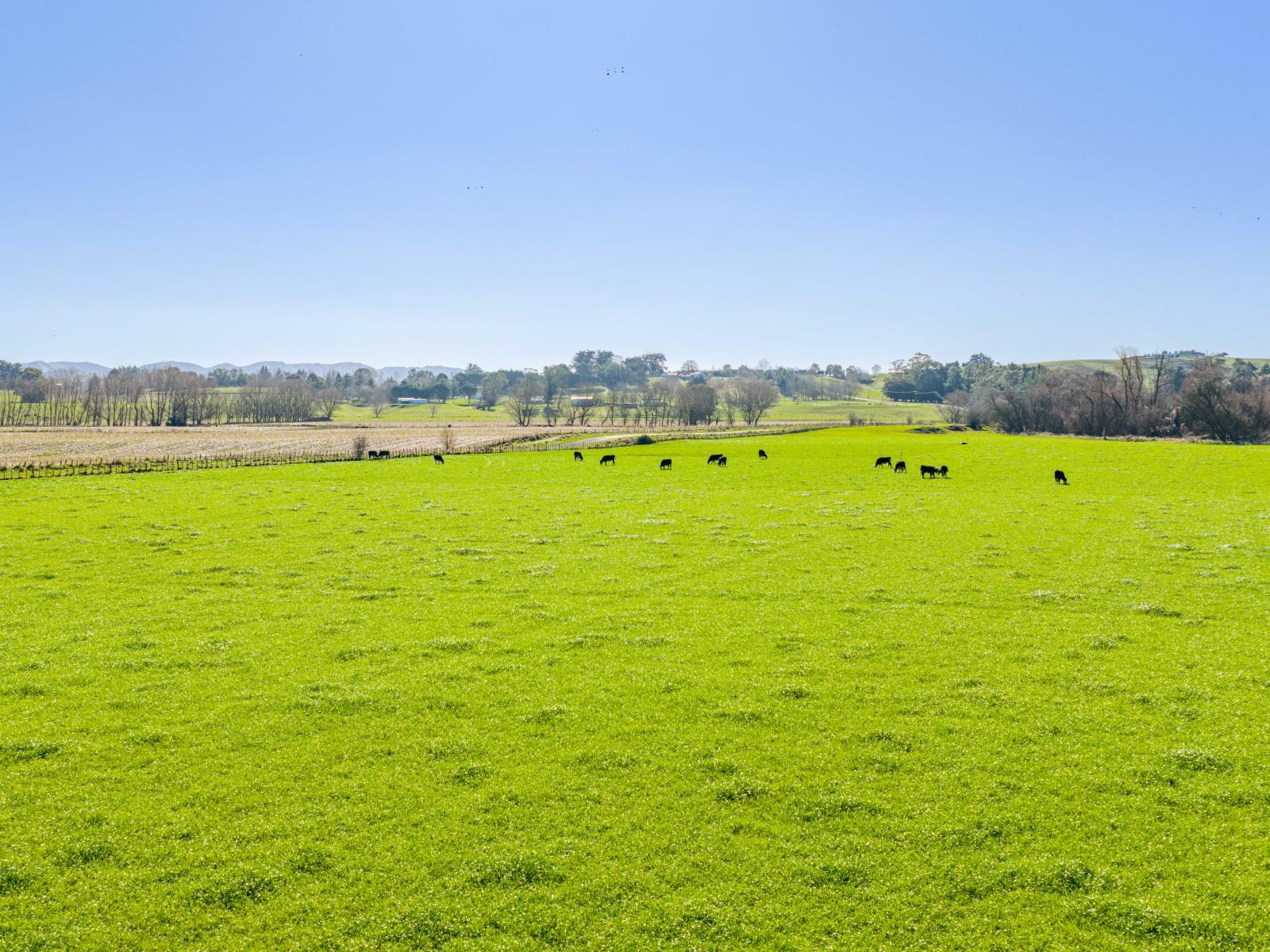 295 Tapairu Road, Waipawa