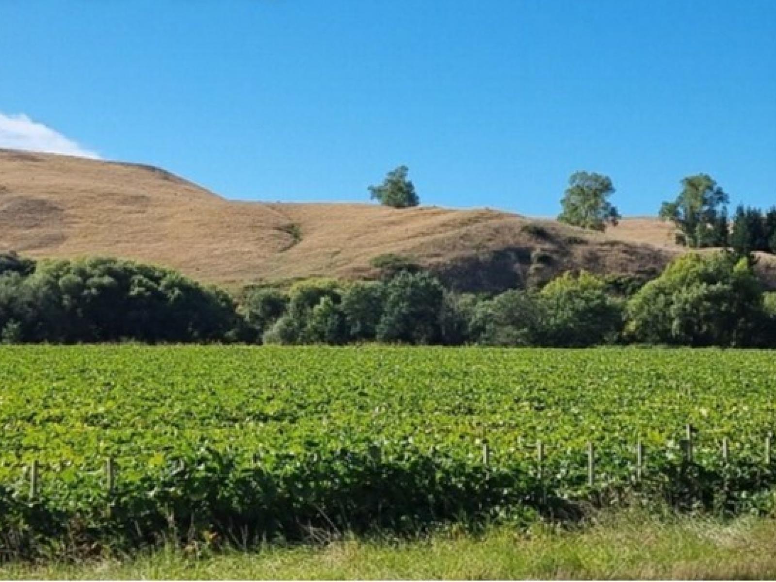 295 Tapairu Road, Waipawa