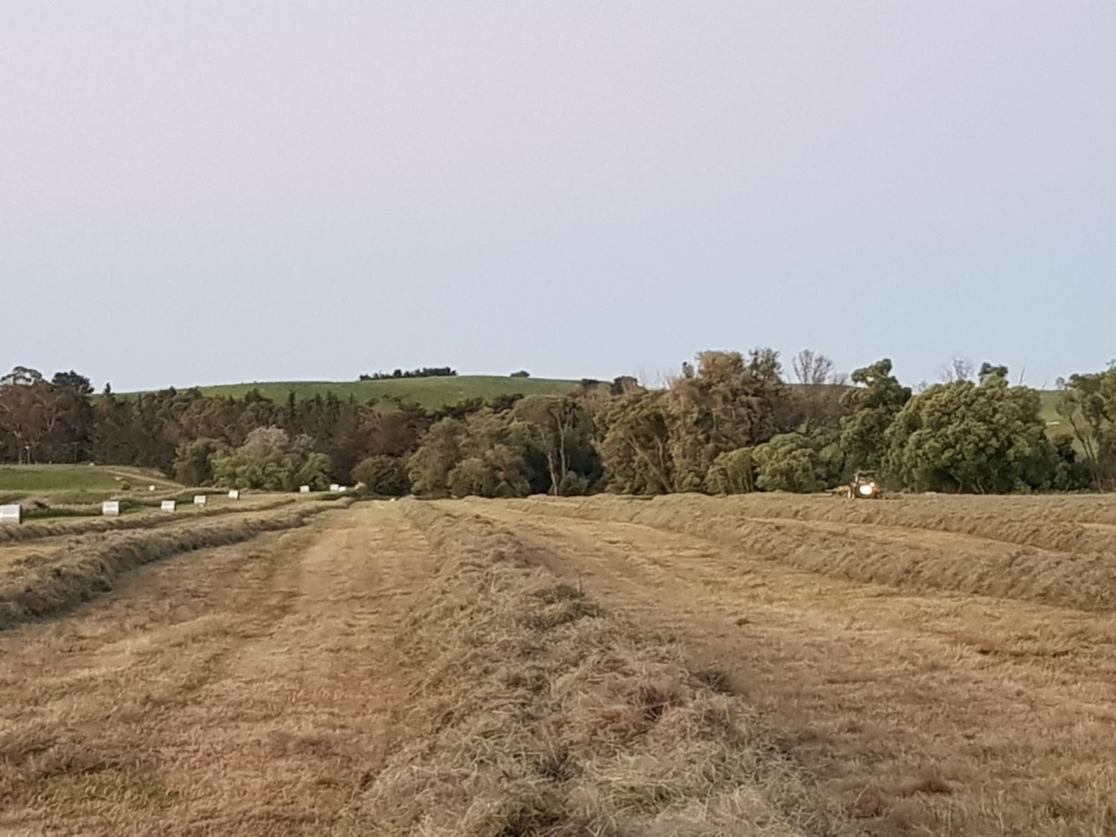 295 Tapairu Road, Waipawa