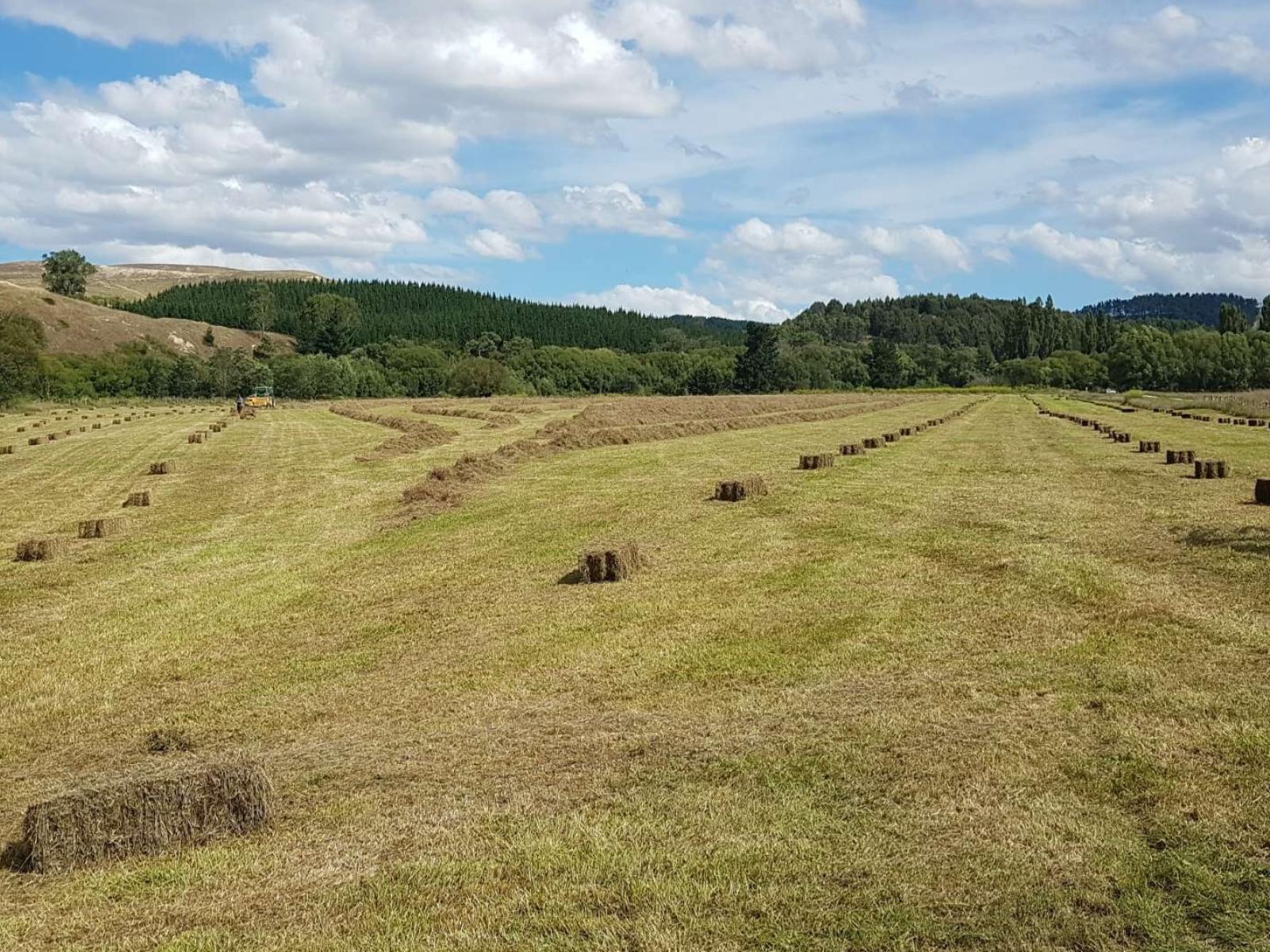 295 Tapairu Road, Waipawa
