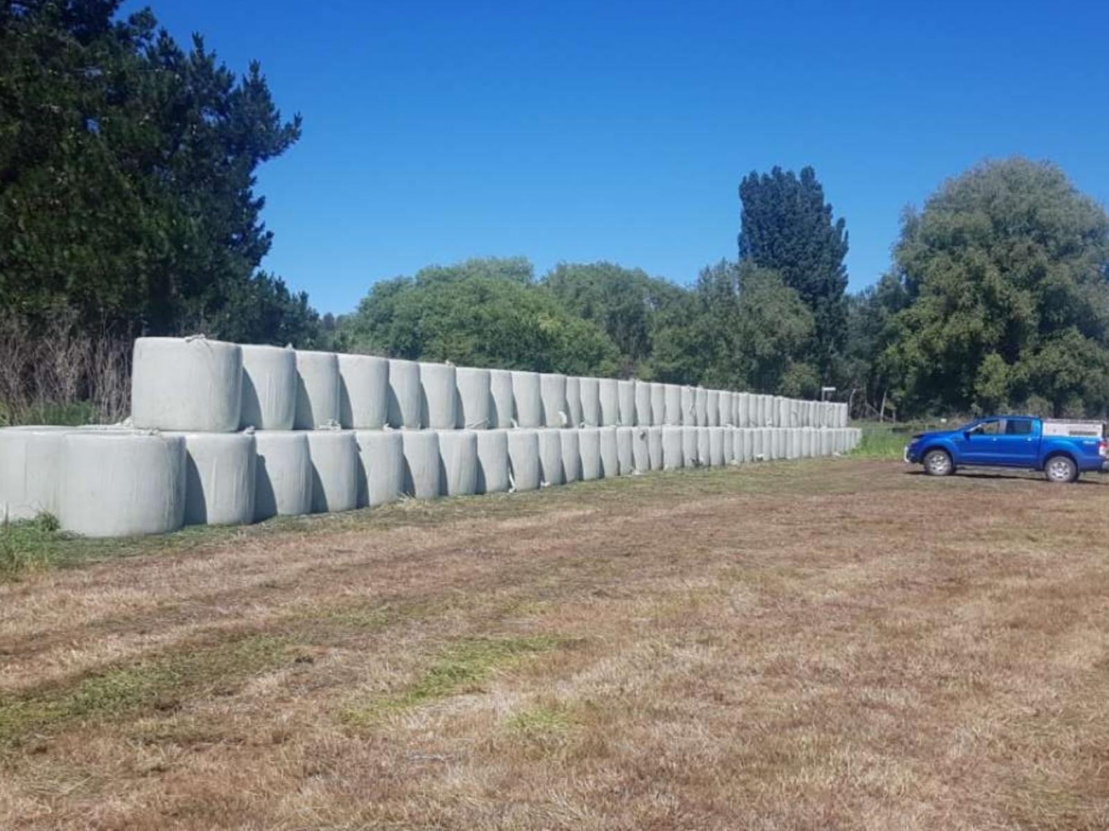 295 Tapairu Road, Waipawa