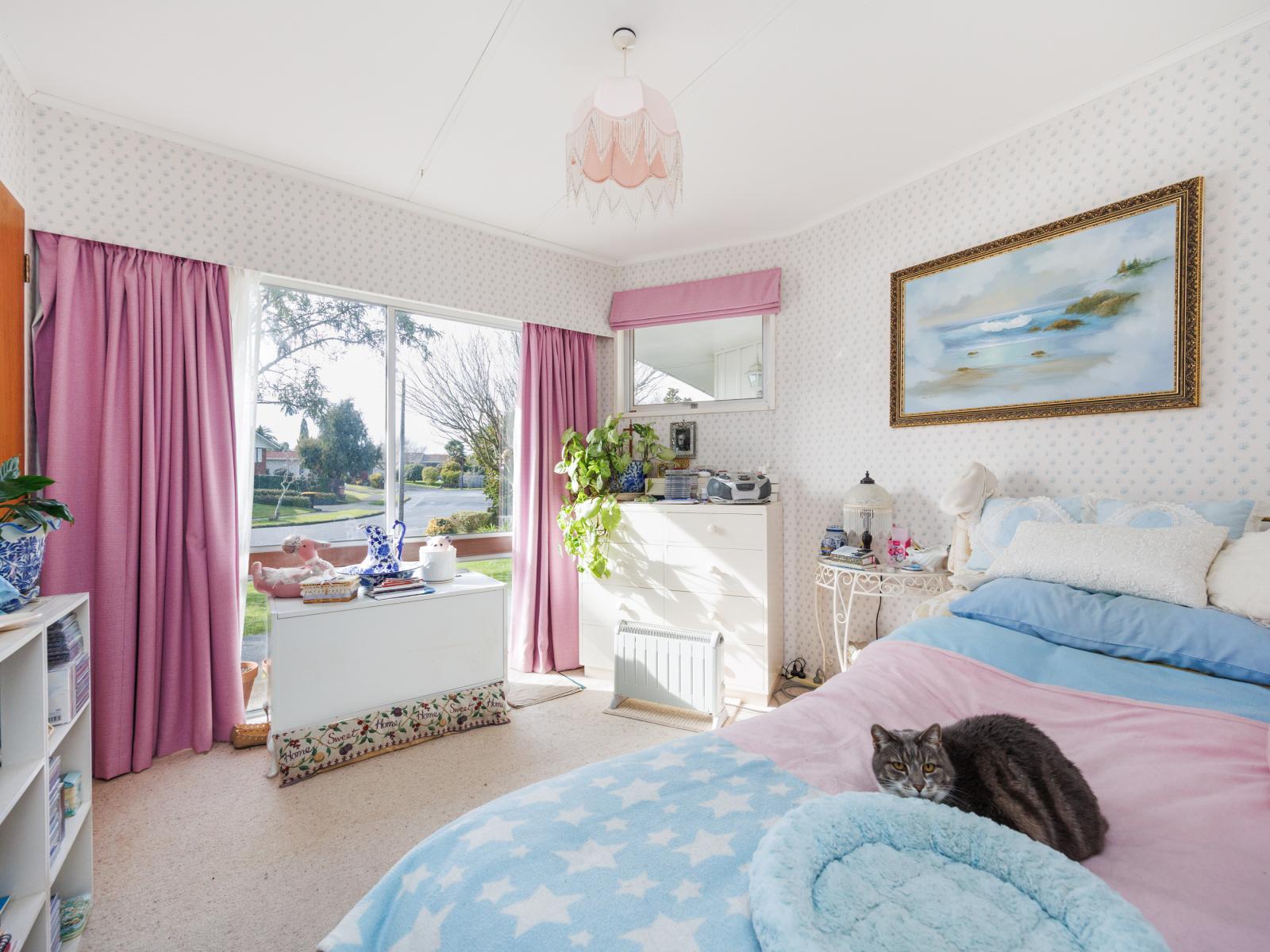 3 Dalzien Place, Feilding