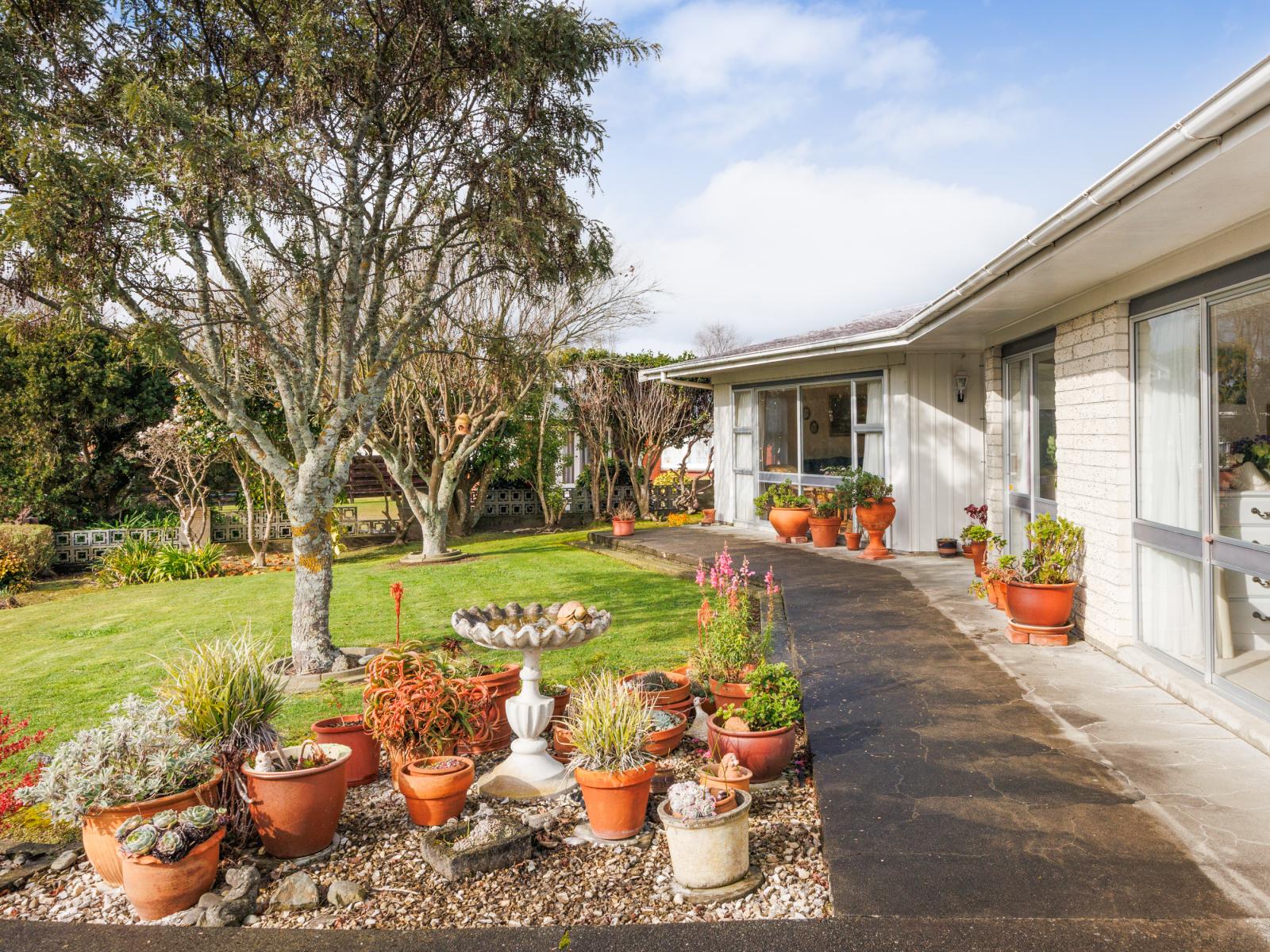 3 Dalzien Place, Feilding