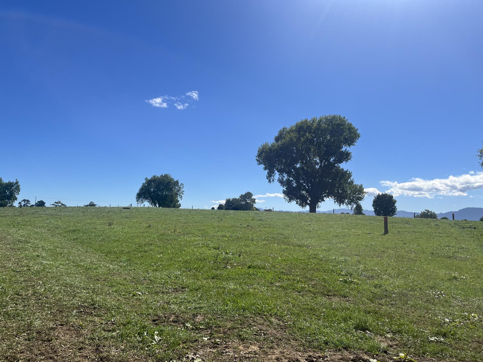 Landsdowne Road, Waharoa