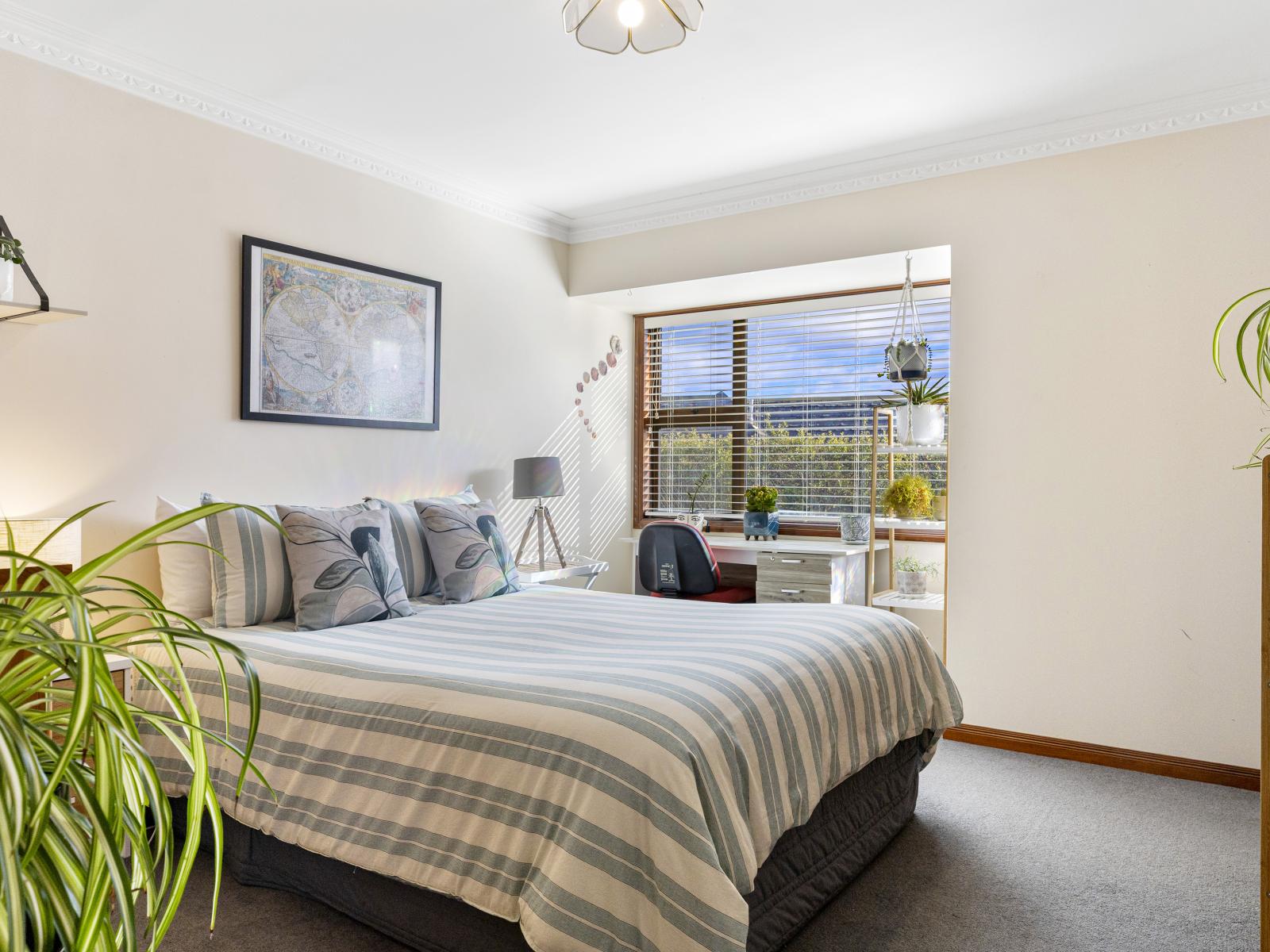 3 Bracken Row, Rangatira Park