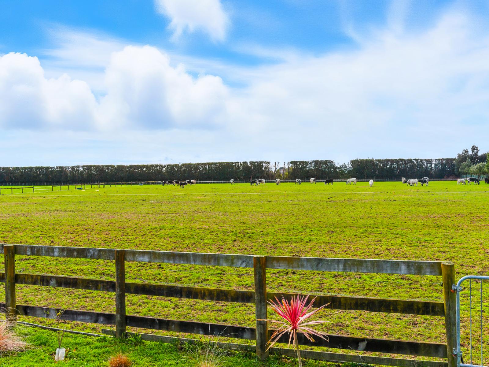 70 Joblins Road, Levin