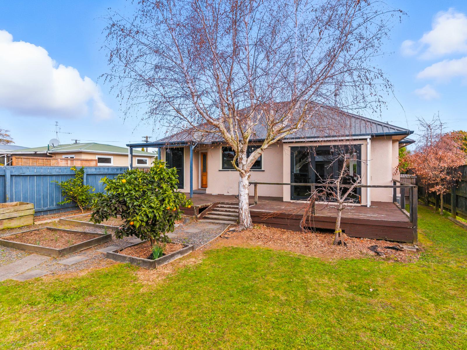 22 York Street, Levin