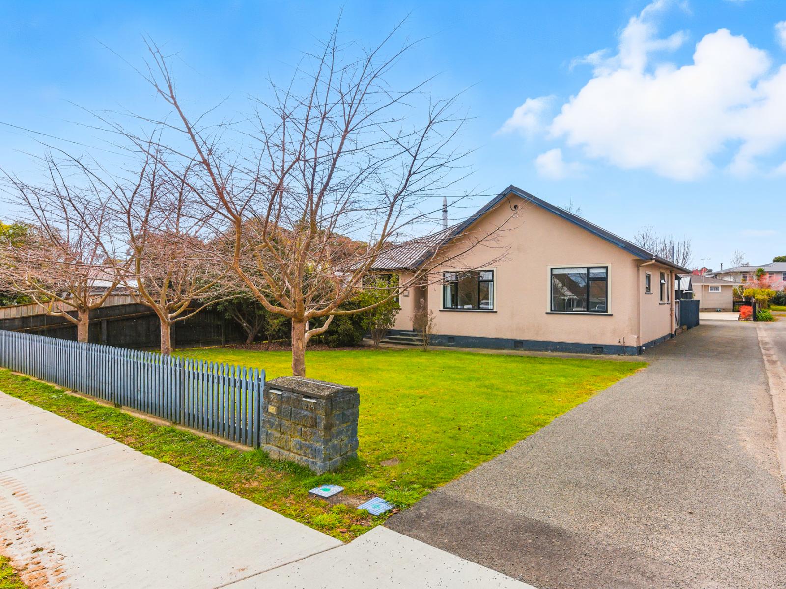 22 York Street, Levin