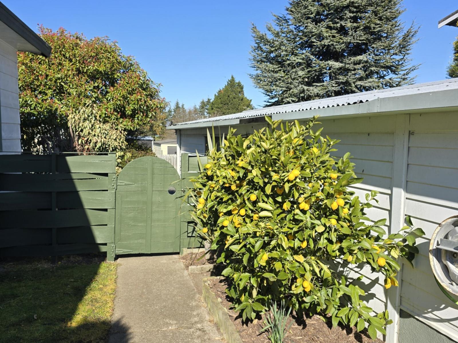 5 Parklane Place, Weston