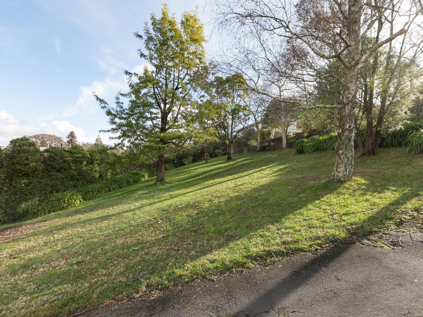 6 Domain Road, Waipawa