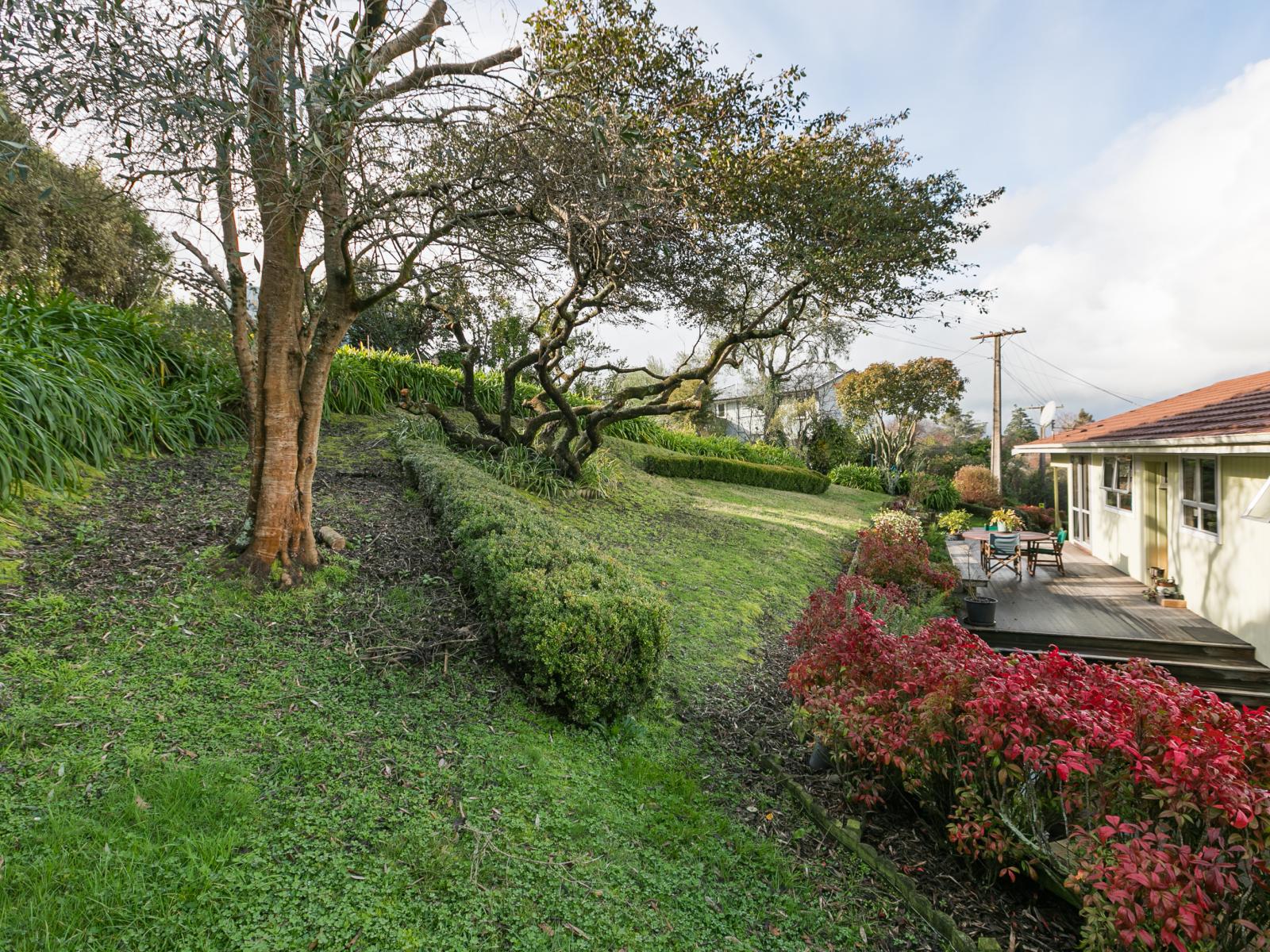 6 Domain Road, Waipawa