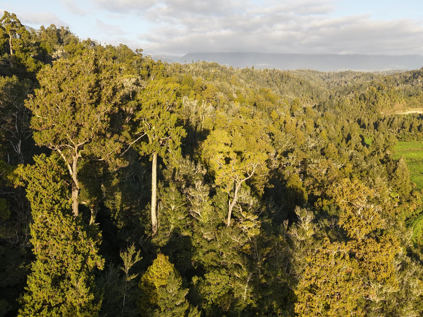 LOT 1 Granite Creek Road, Karamea
