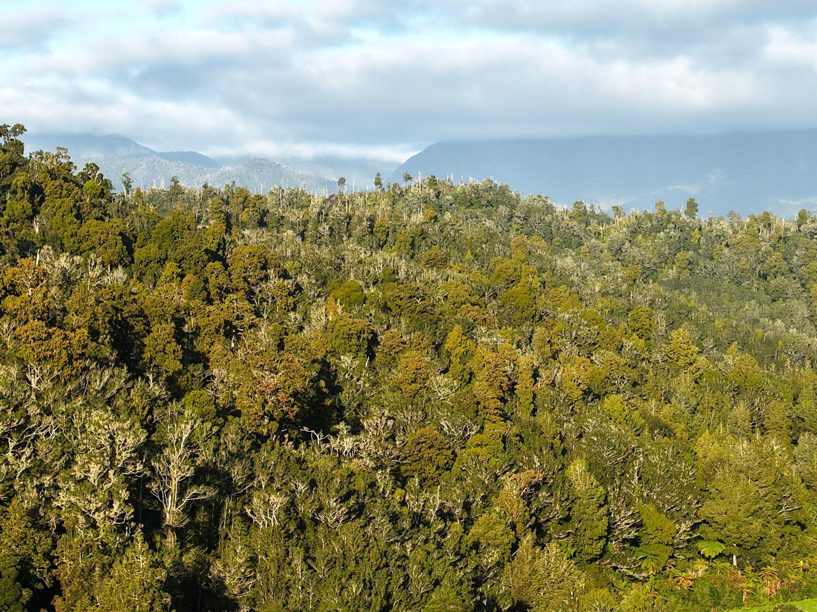 LOT 1 Granite Creek Road, Karamea