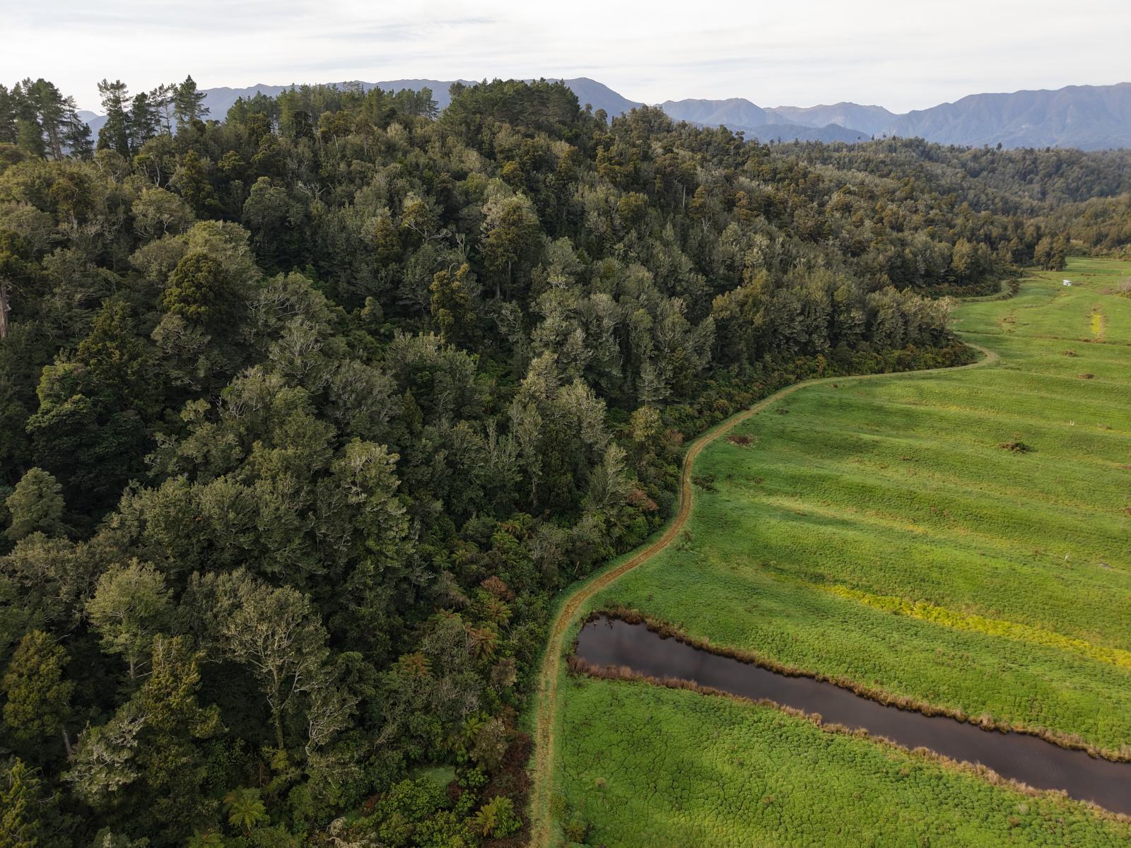 LOT 1 Granite Creek Road, Karamea