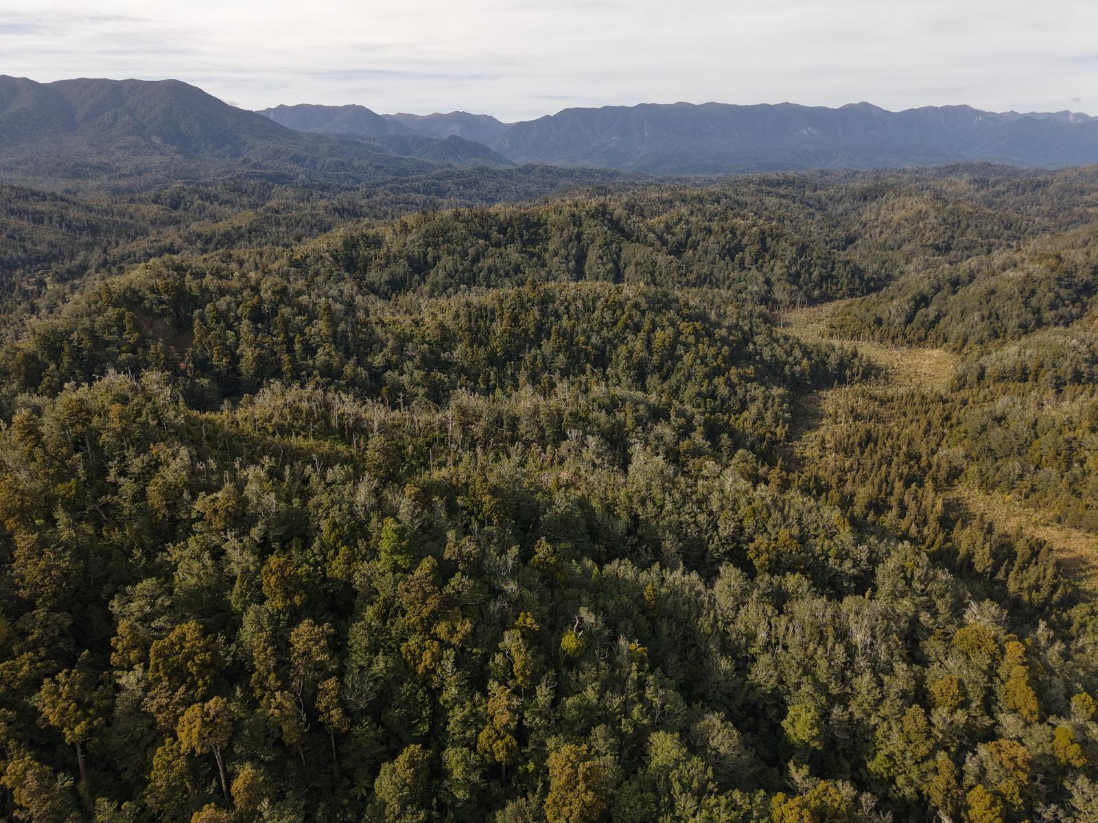 LOT 1 Granite Creek Road, Karamea