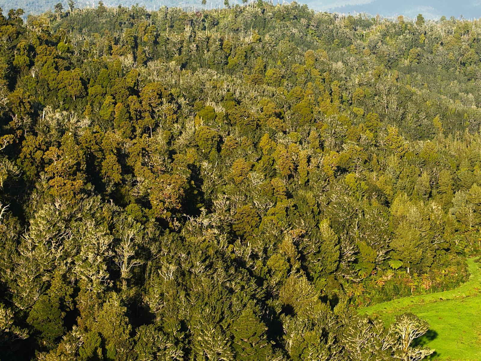 LOT 1 Granite Creek Road, Karamea