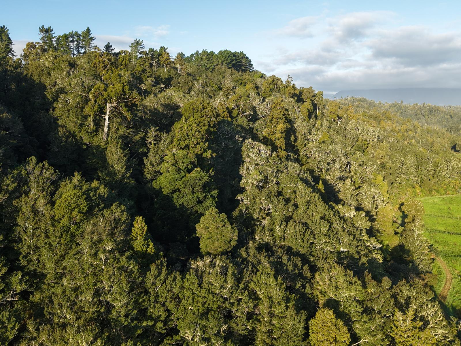 LOT 1 Granite Creek Road, Karamea
