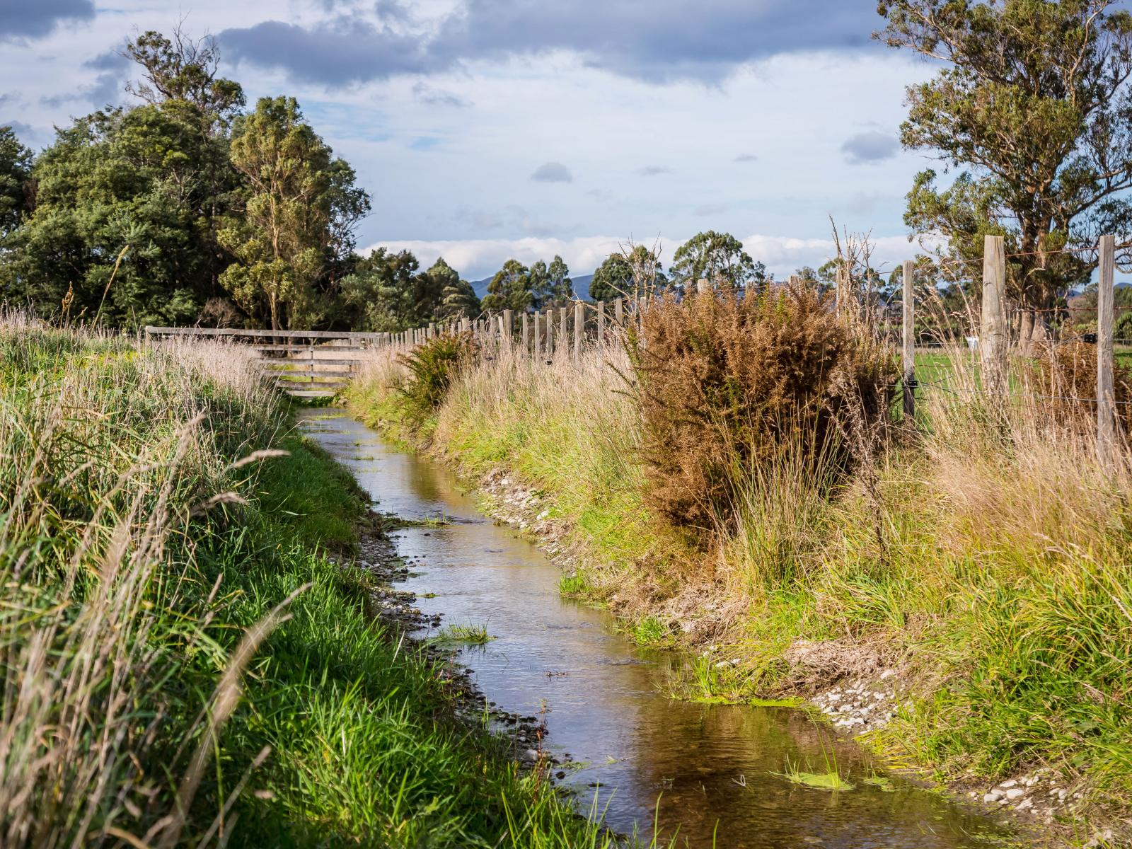 Greytown