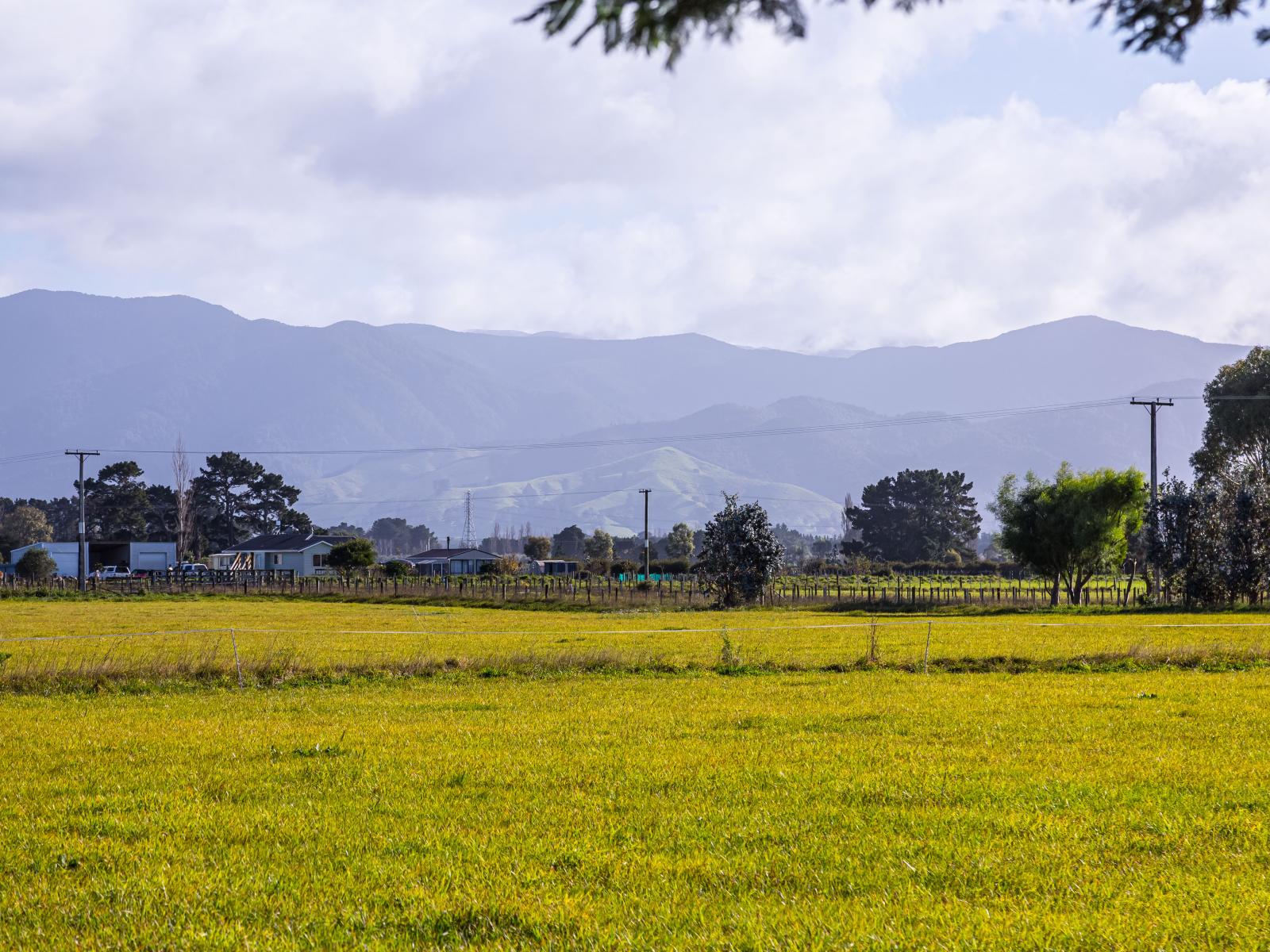 Greytown