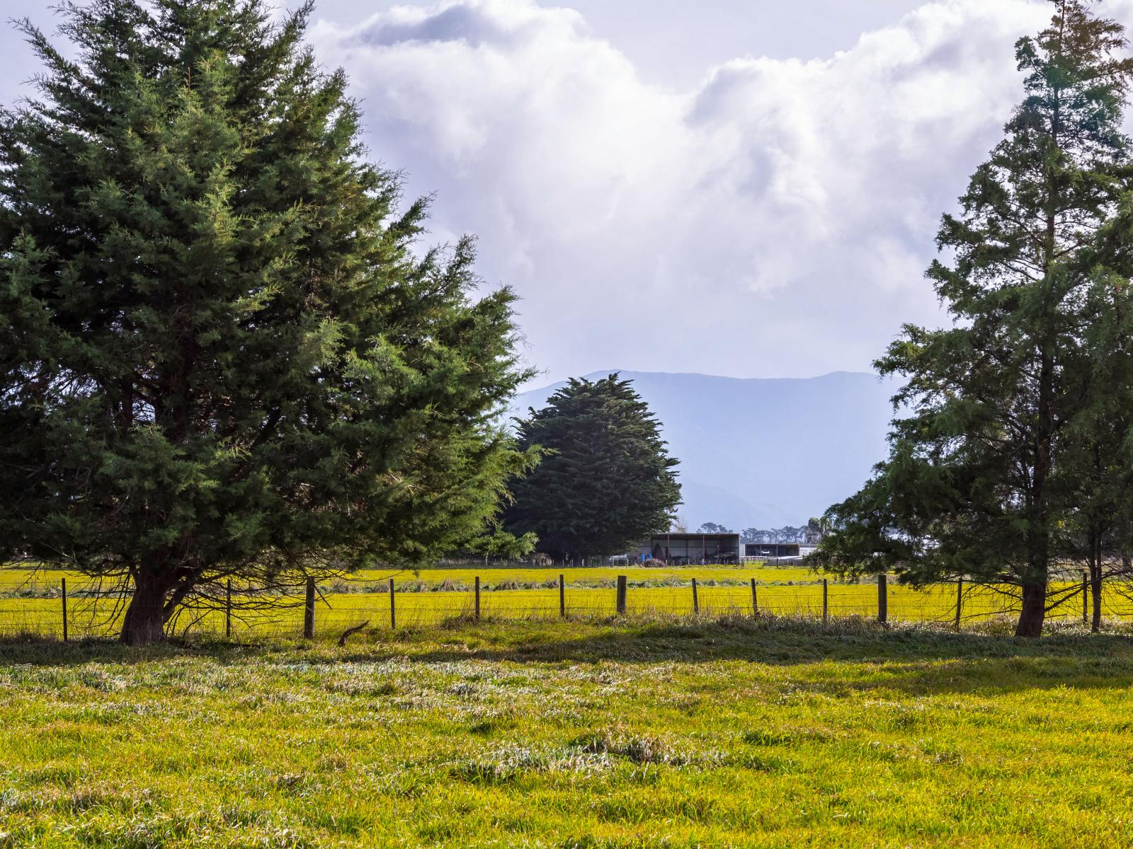 Greytown