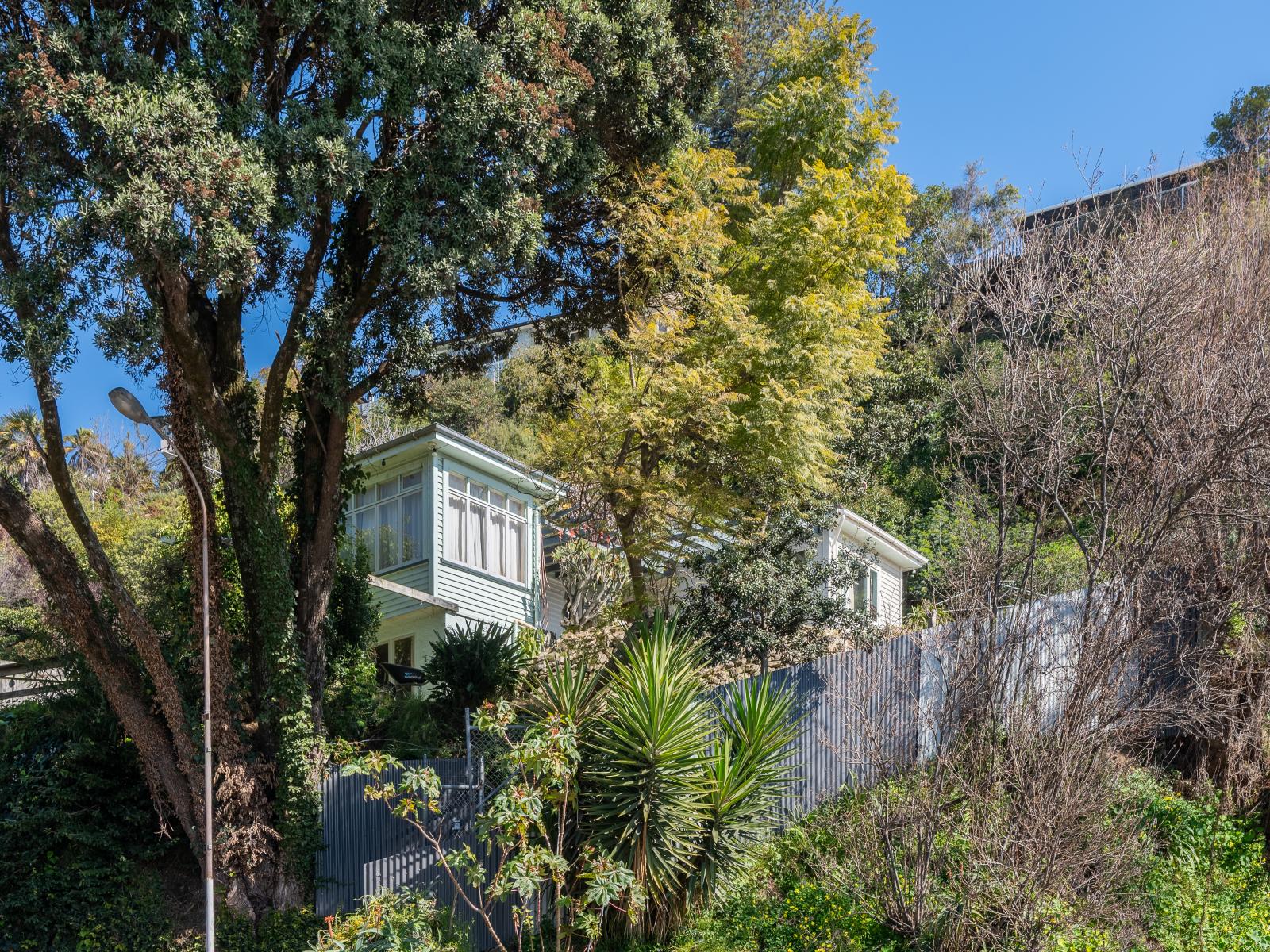 3 Hornsey Road, Bluff Hill