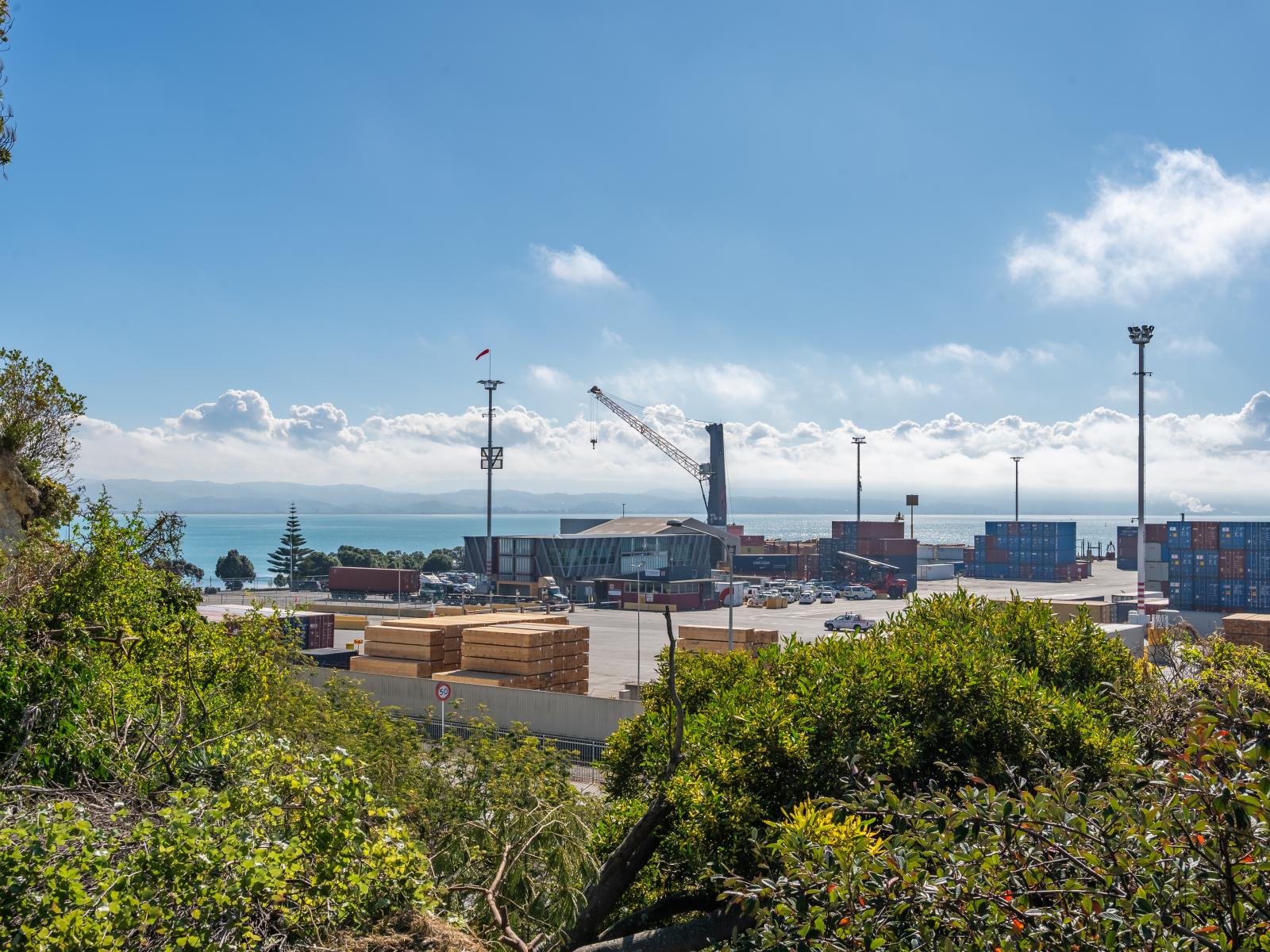 3 Hornsey Road, Bluff Hill