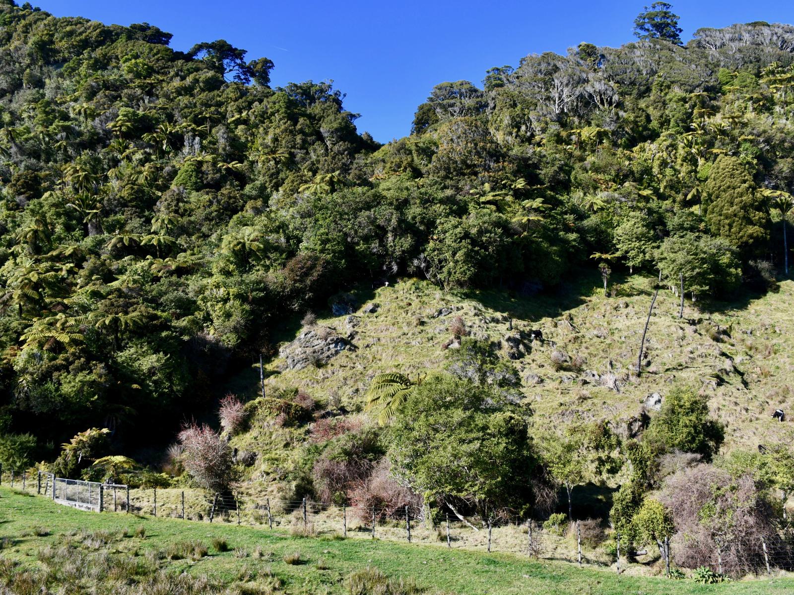 4 Horncastle Crescent, Little Wanganui
