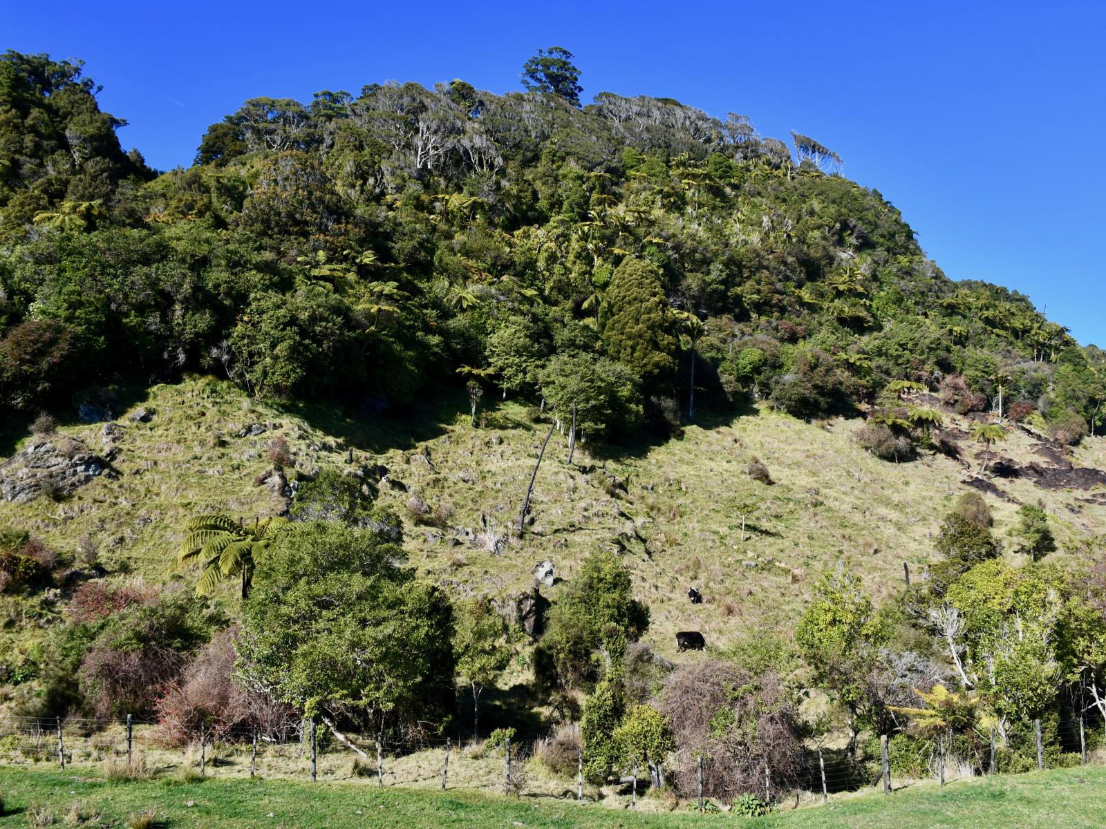 4 Horncastle Crescent, Little Wanganui