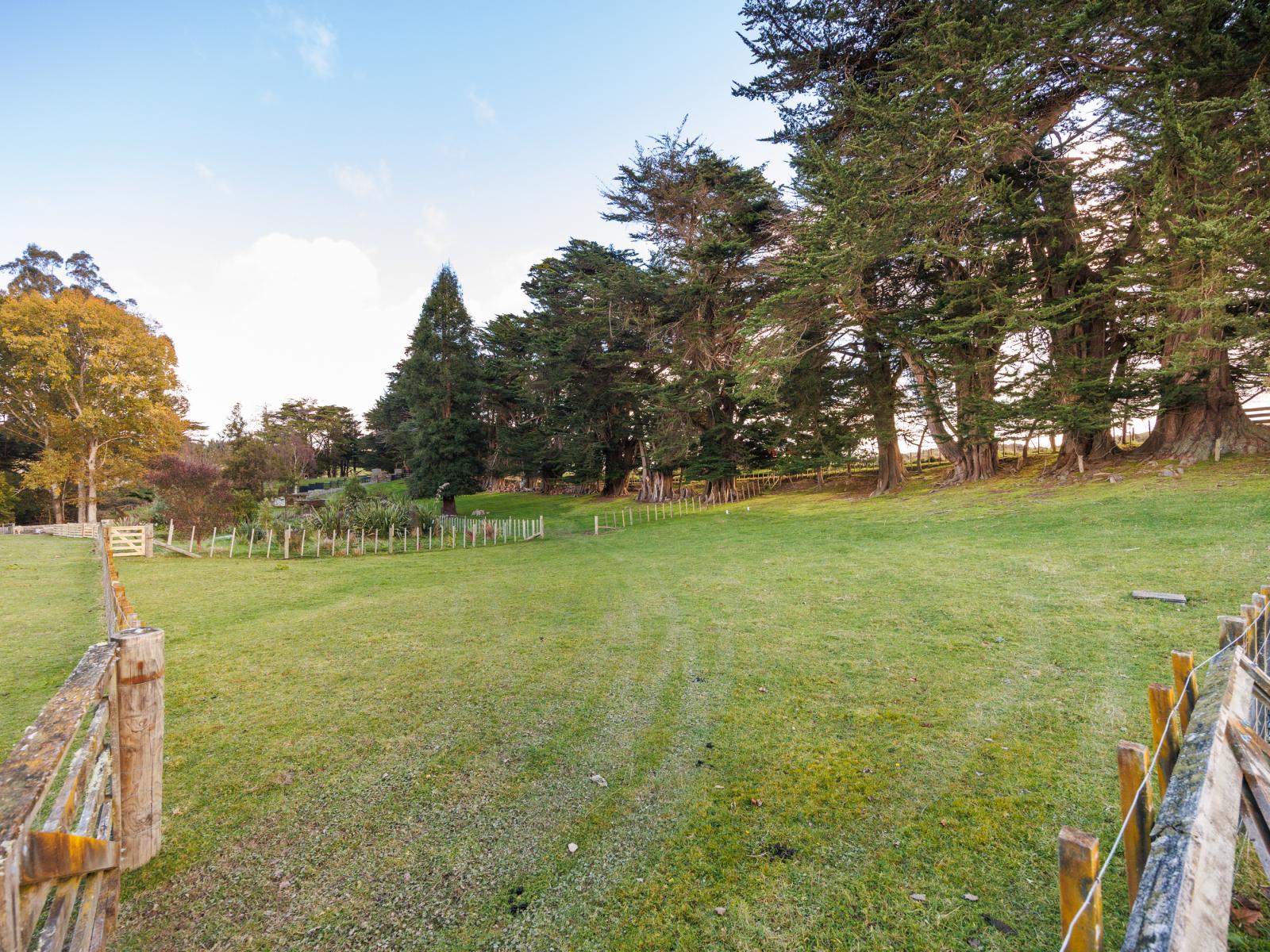 442 Zigzag Road, Pohangina