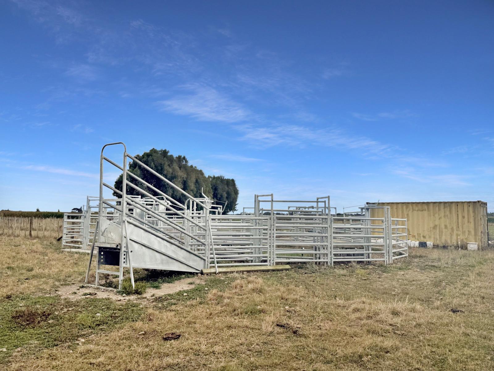 270 Setters Line, Bunnythorpe