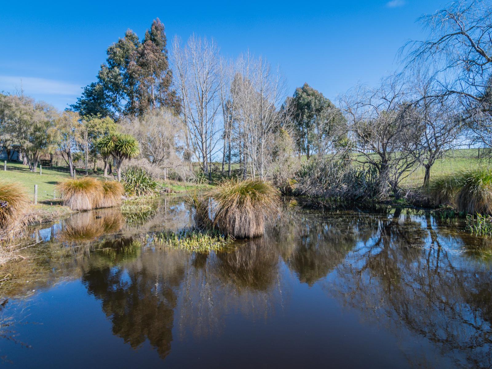 214 Rosebrook Road, Timaru Surrounds