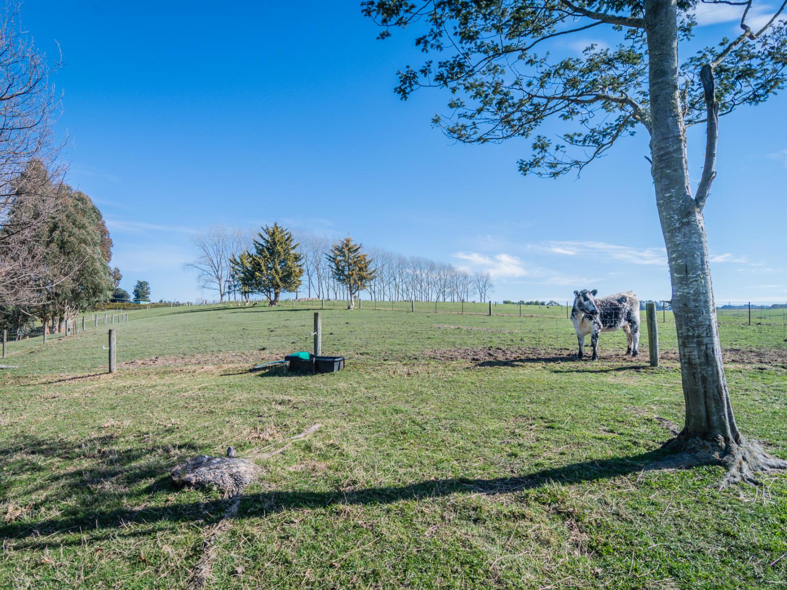 214 Rosebrook Road, Timaru Surrounds