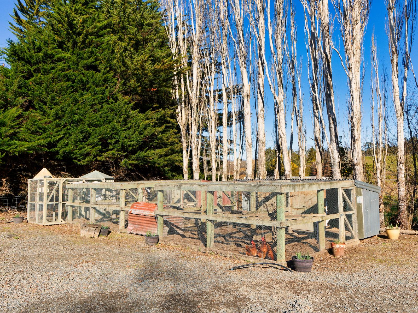 22 Reeves Street, Cheviot
