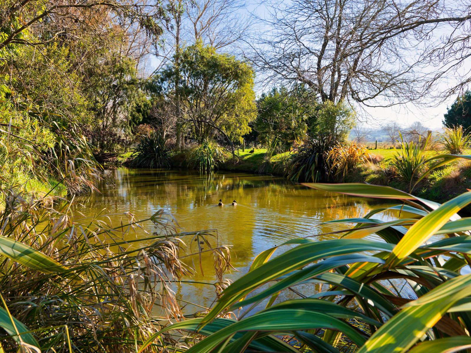 22 Reeves Street, Cheviot