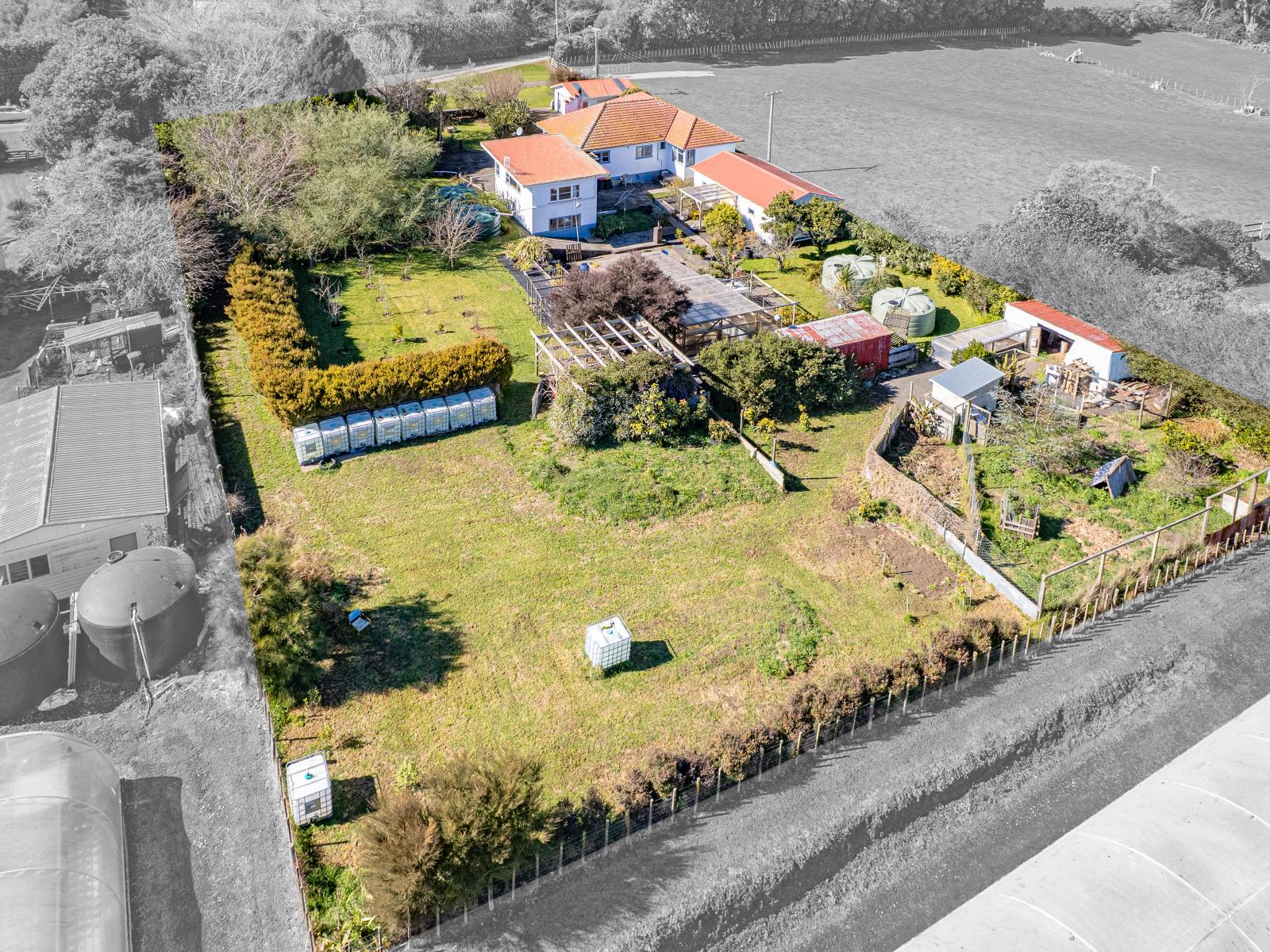 20 Lupton Street, Waverley