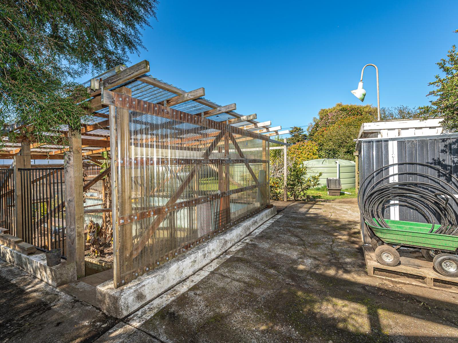 20 Lupton Street, Waverley