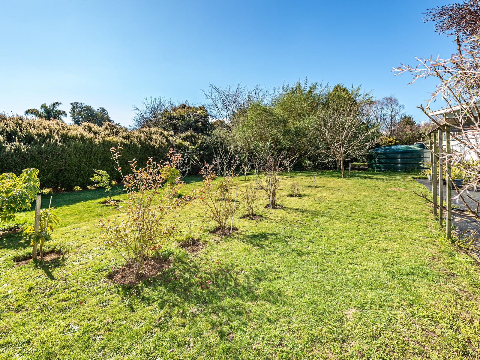 20 Lupton Street, Waverley
