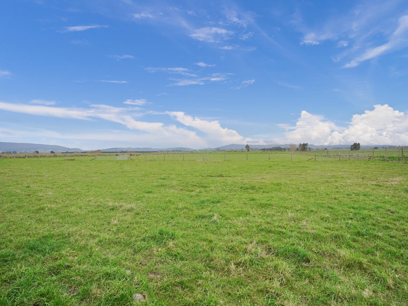 565 Otautau Wreys Bush Road, Otautau