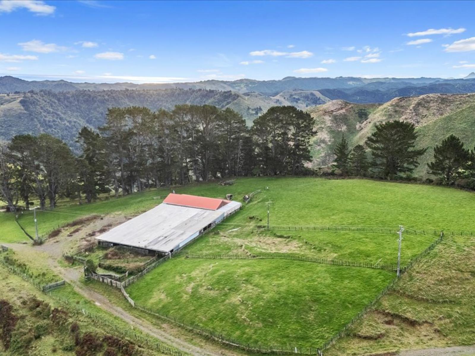1535 Taumatamaire Road, Awakino