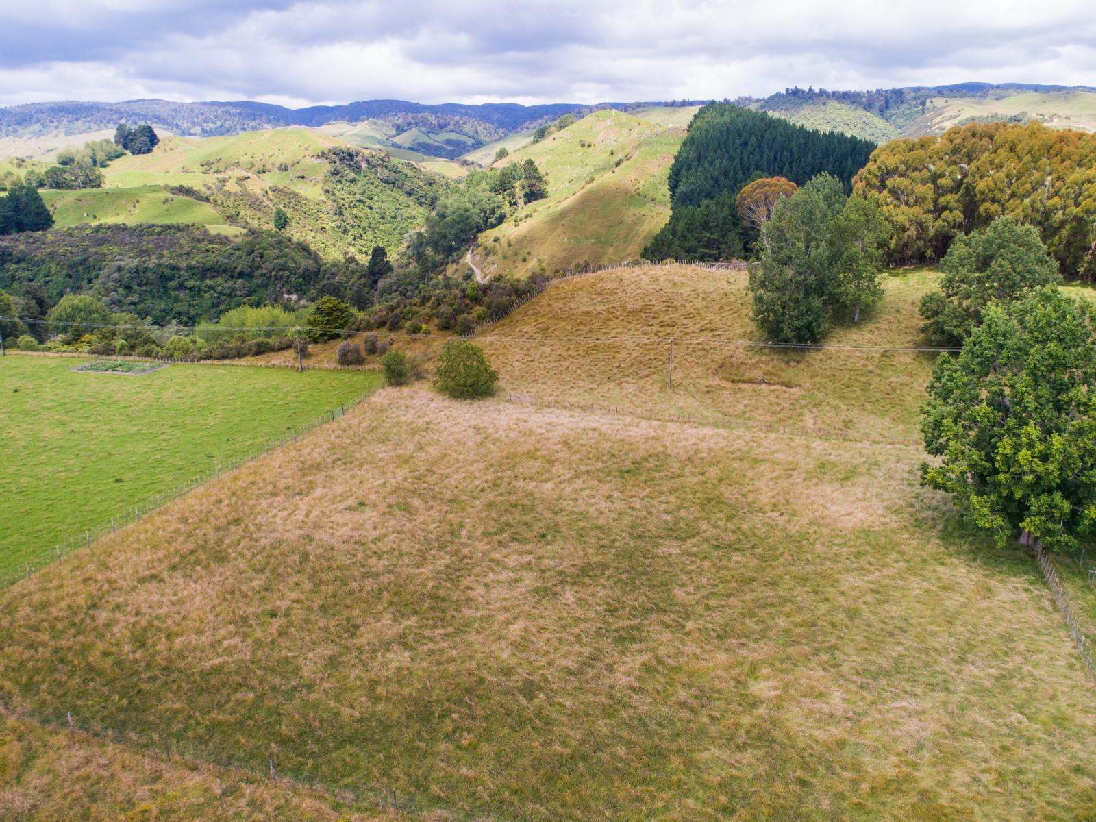 2136-2138 Pohangina Valley Road, Pohangina
