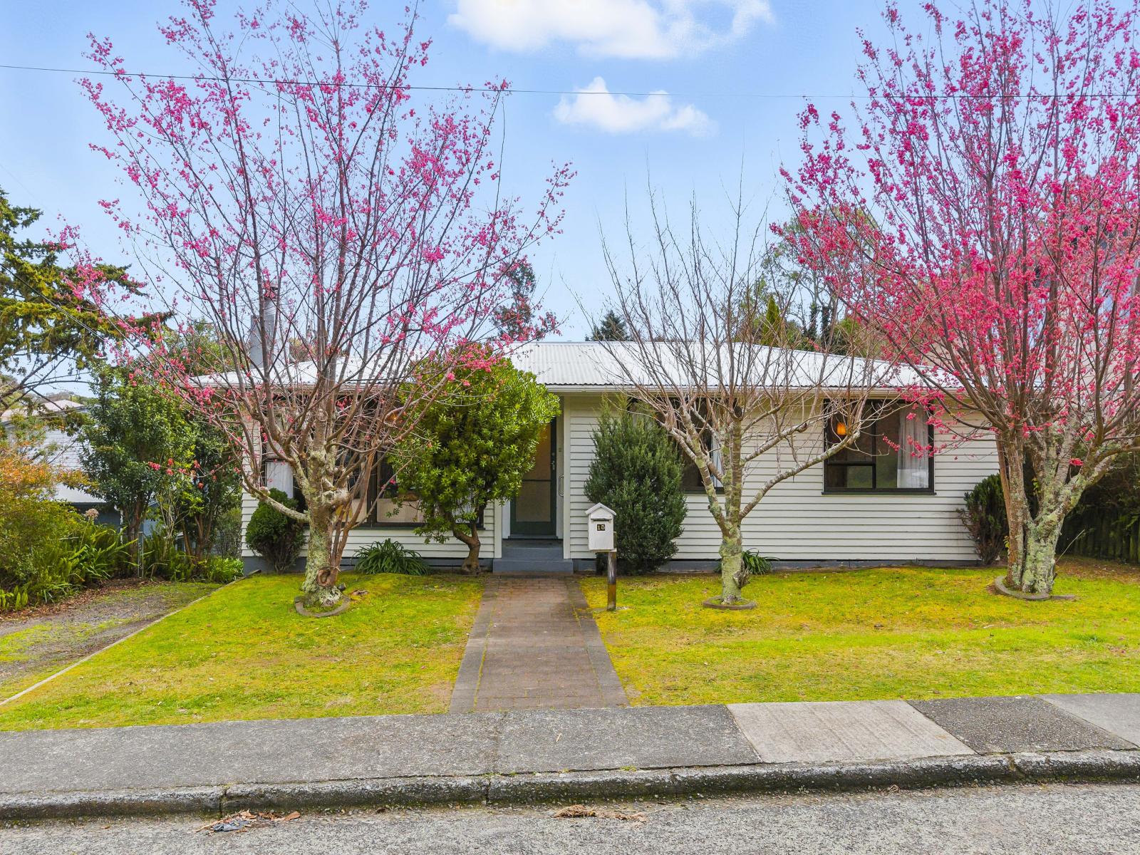 15 Leinster Avenue, Raumati South