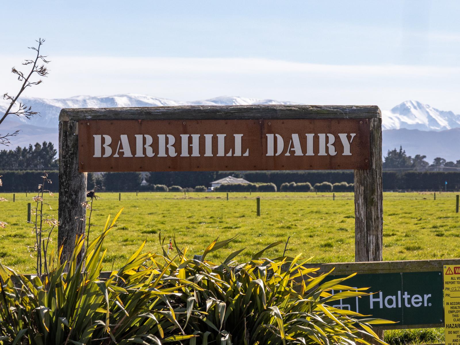 981 Back Track, Ashburton