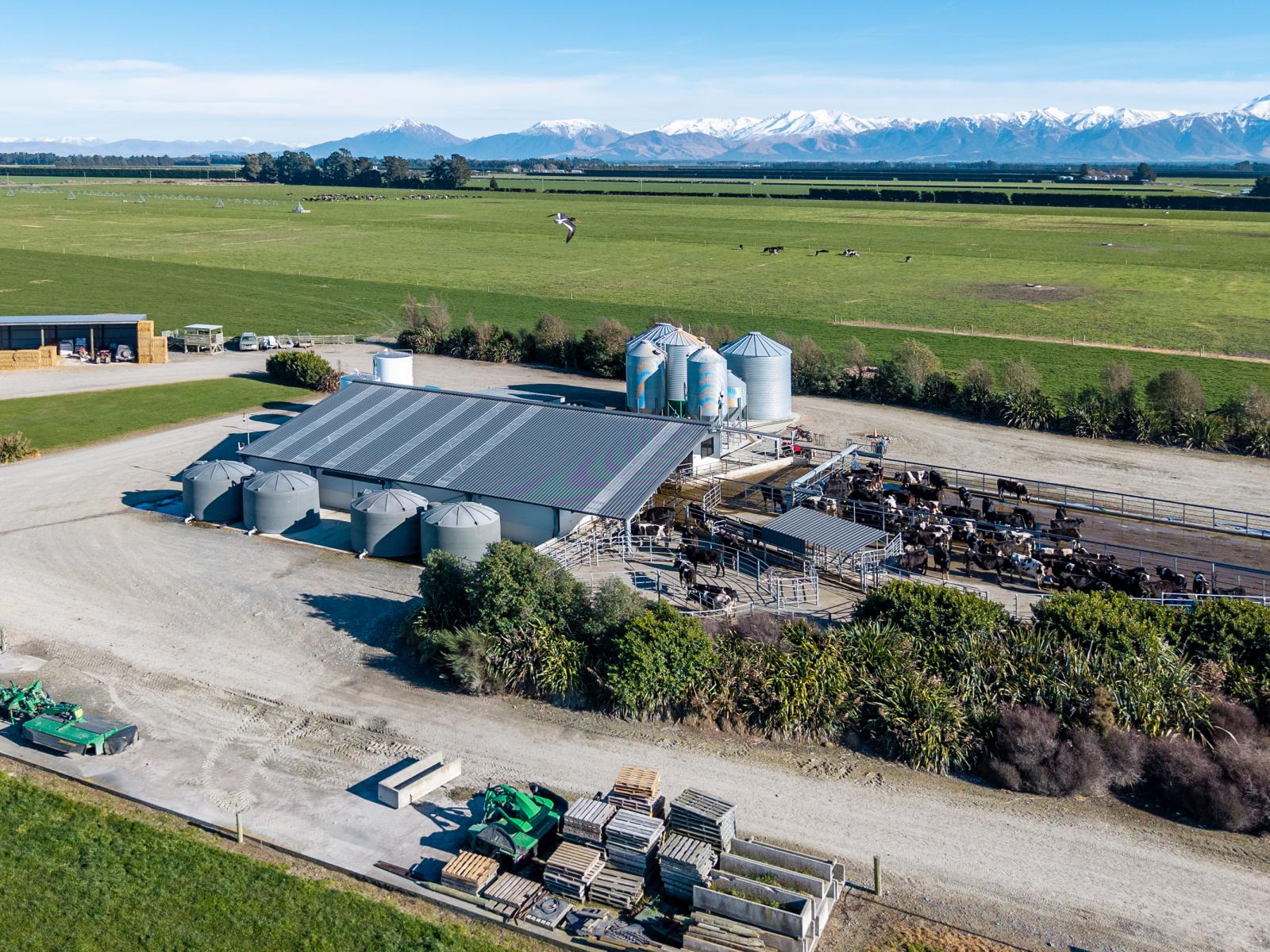 981 Back Track, Ashburton