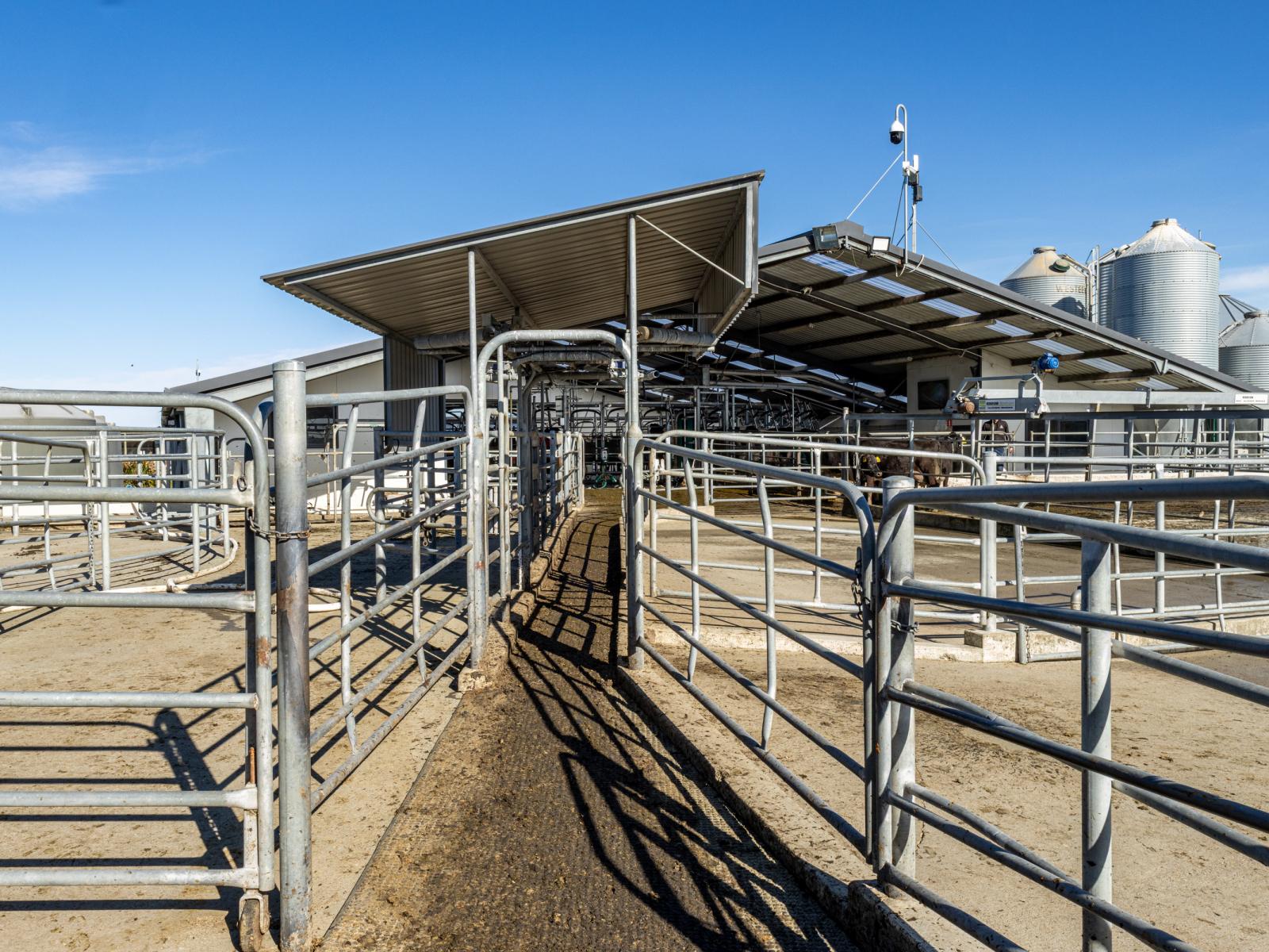 981 Back Track, Ashburton
