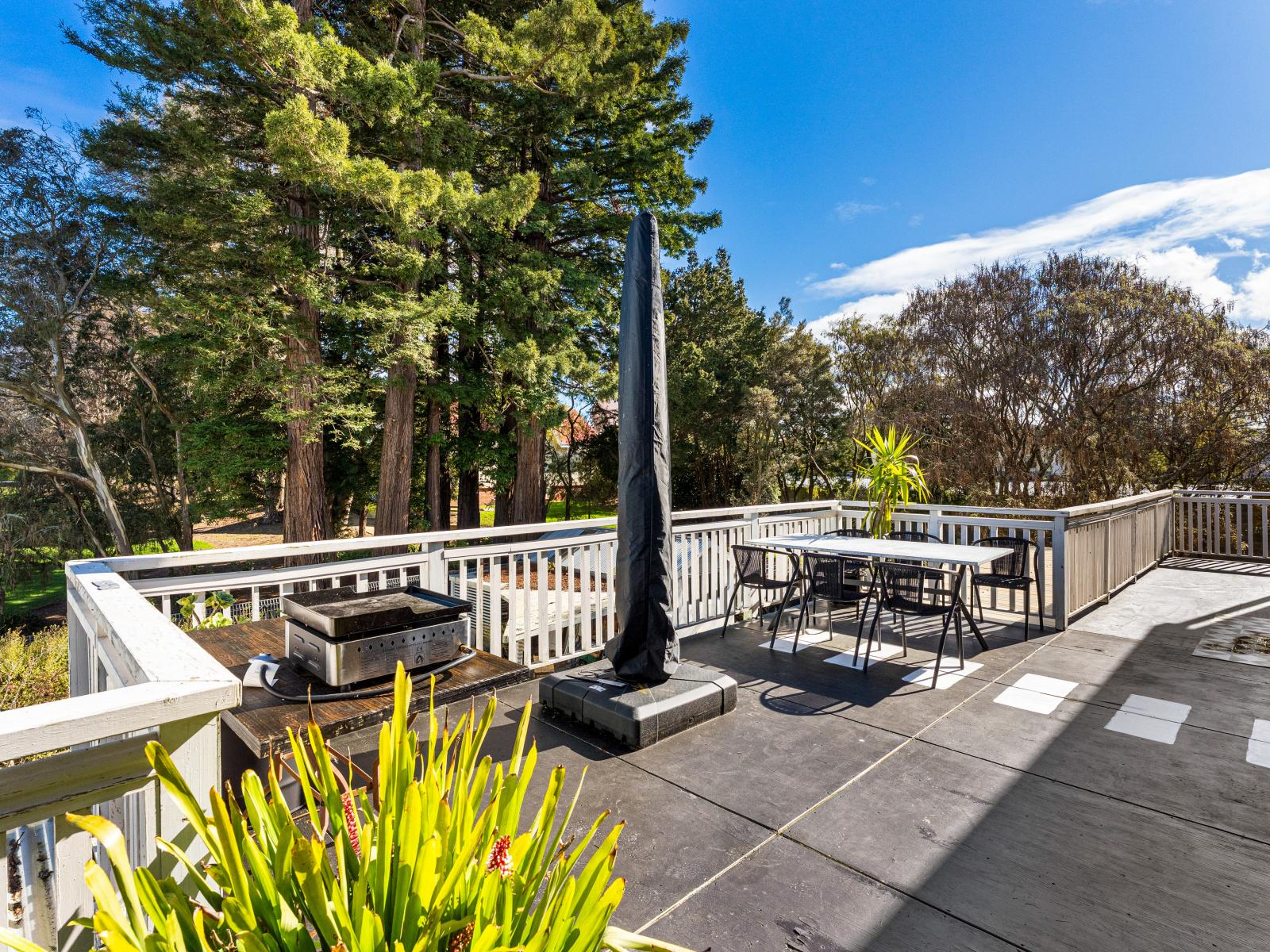 224 Broadway, Marton