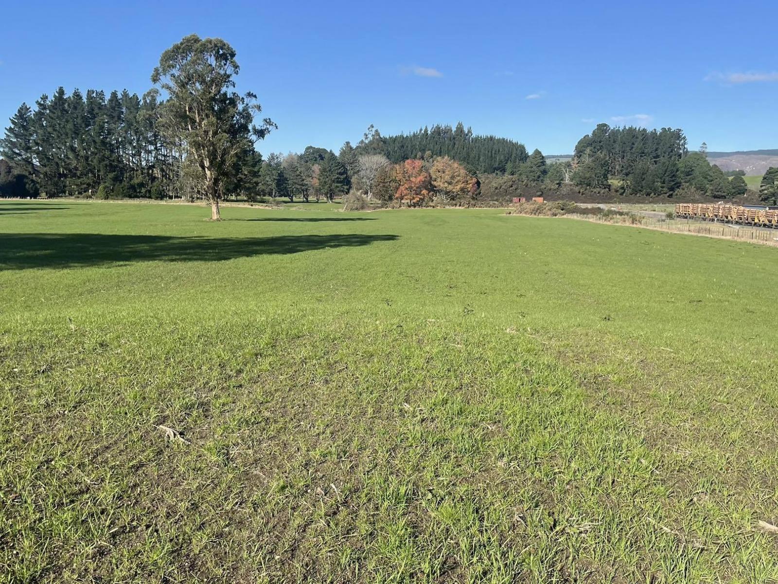 State Highway 1, Kinleith