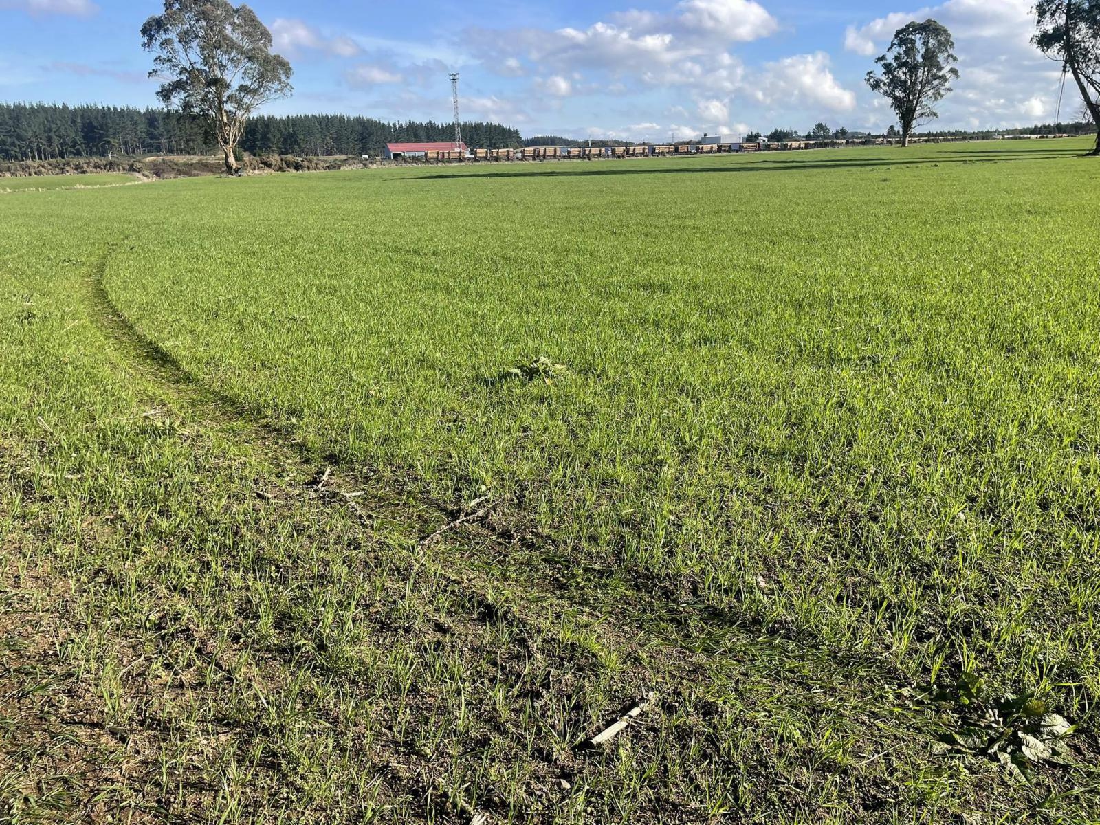 State Highway 1, Kinleith